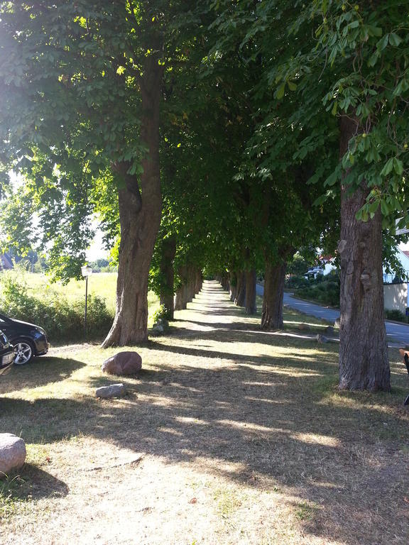 Schaeferkate Sierksdorf Appartement Buitenkant foto